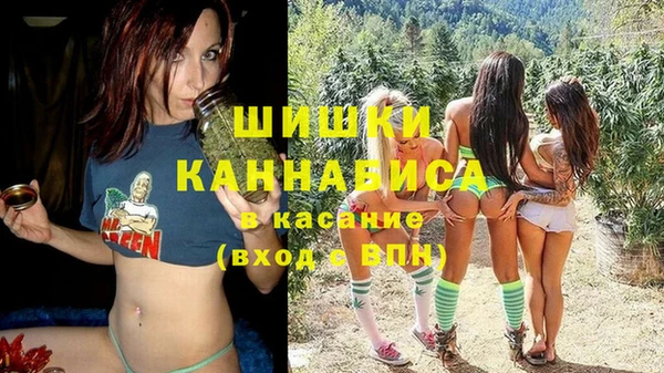 Альфа ПВП Пестово