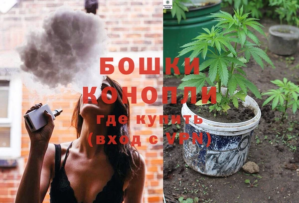 трава Осташков