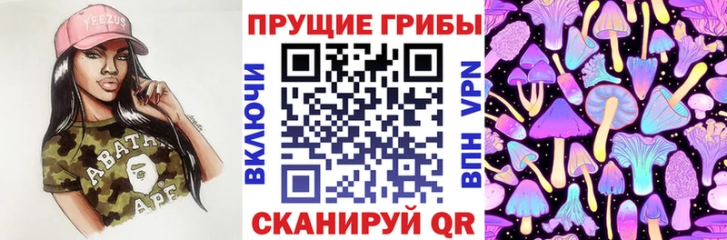 shop формула  Кизел  Галлюциногенные грибы Psilocybine cubensis 